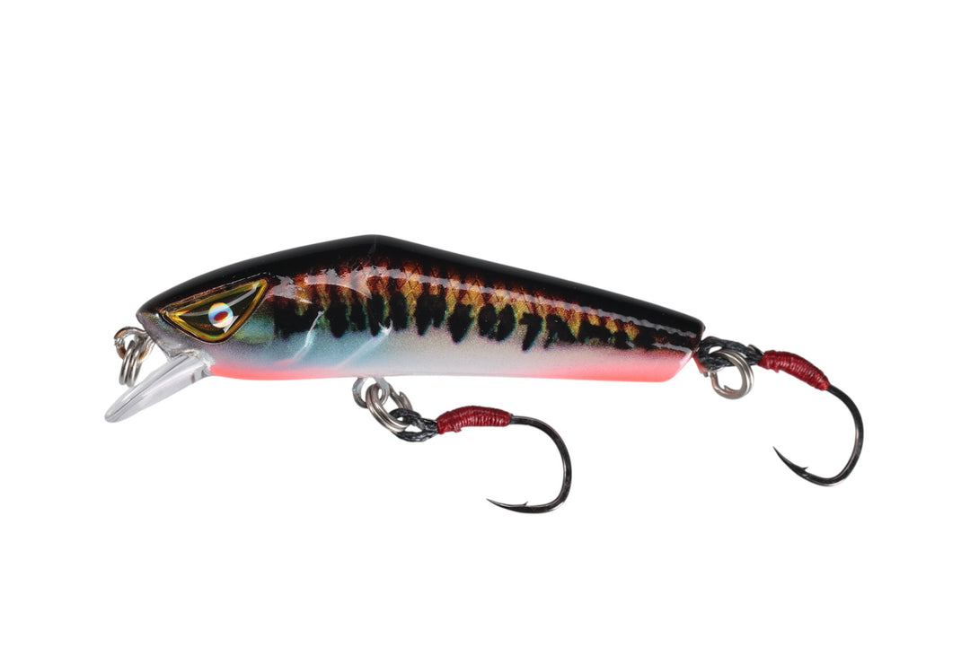 SENTINEL 45