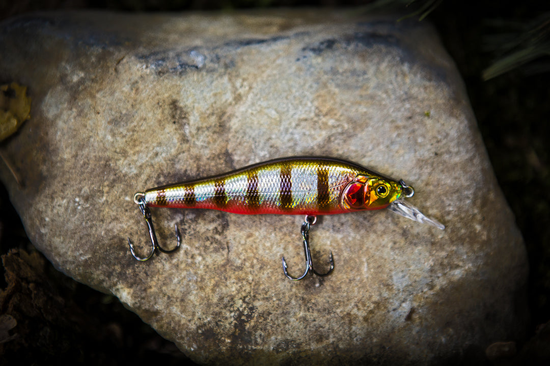 Twitch-Minnow